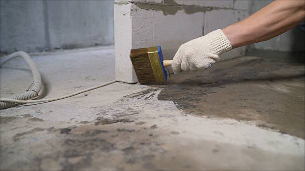 Top rated local Crawl Space Encapsulation specialists in Brandy Station, VA
